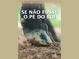 eduff-lanca-titulo-sobre-pecuaria-bovina-no-brasil